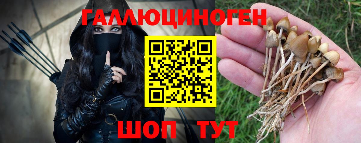 Галлюциногенные грибы Psilocybine cubensis  Вход с VPN  Октябрьский 