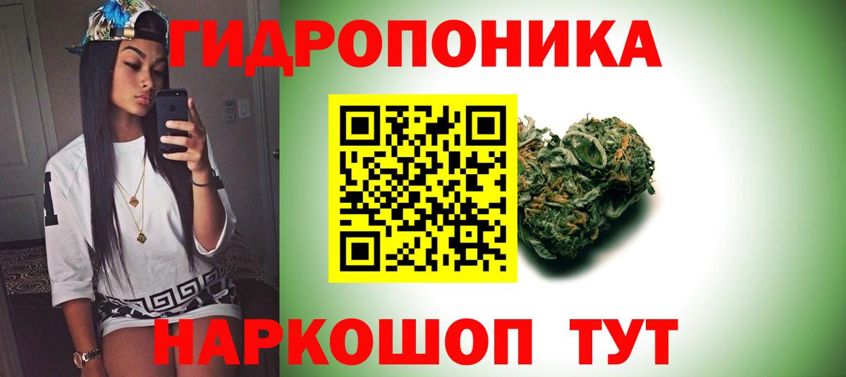 Канабис MAZAR Октябрьский